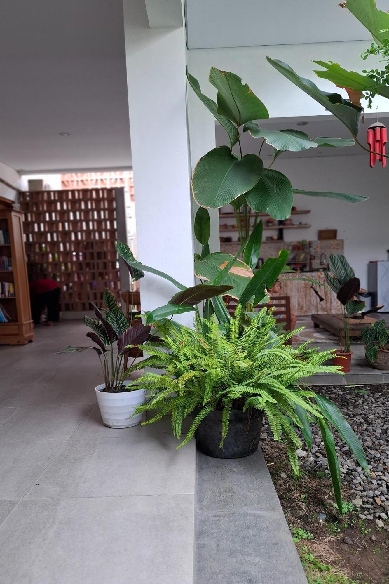 Bring In House Yogyakarta Apartment Exterior foto